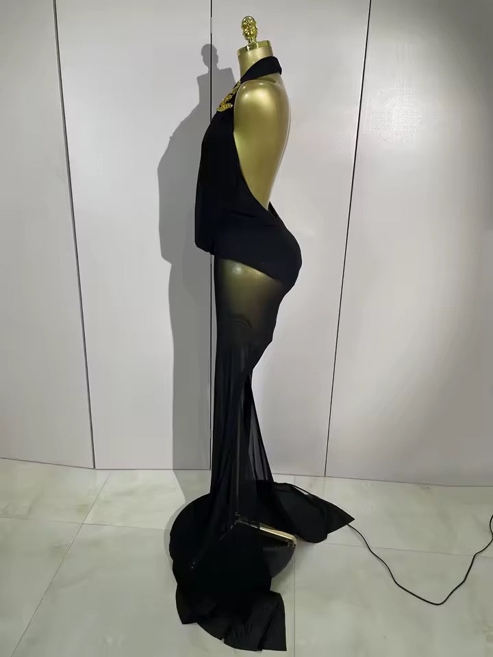 Sparkly Rhinestone Stretch Bodysuits Long Mesh Dress