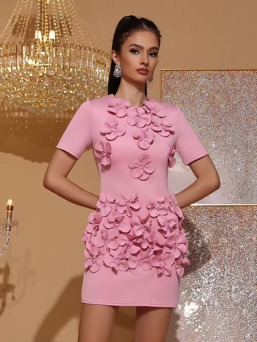 Spliced Appliques Elegant Mini Dress