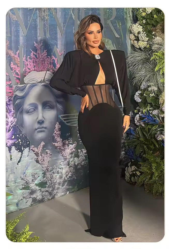 Mesh Corset Waist Long Sleeve Slim Fit Party dress