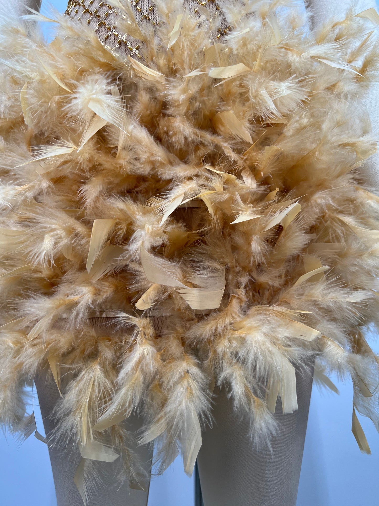 Feathers Short Prom Dress Beads dress