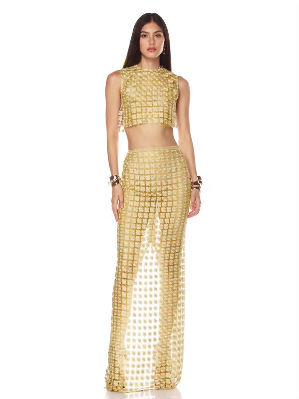Gold Embroidery Mesh See Through Top + Skirt Set