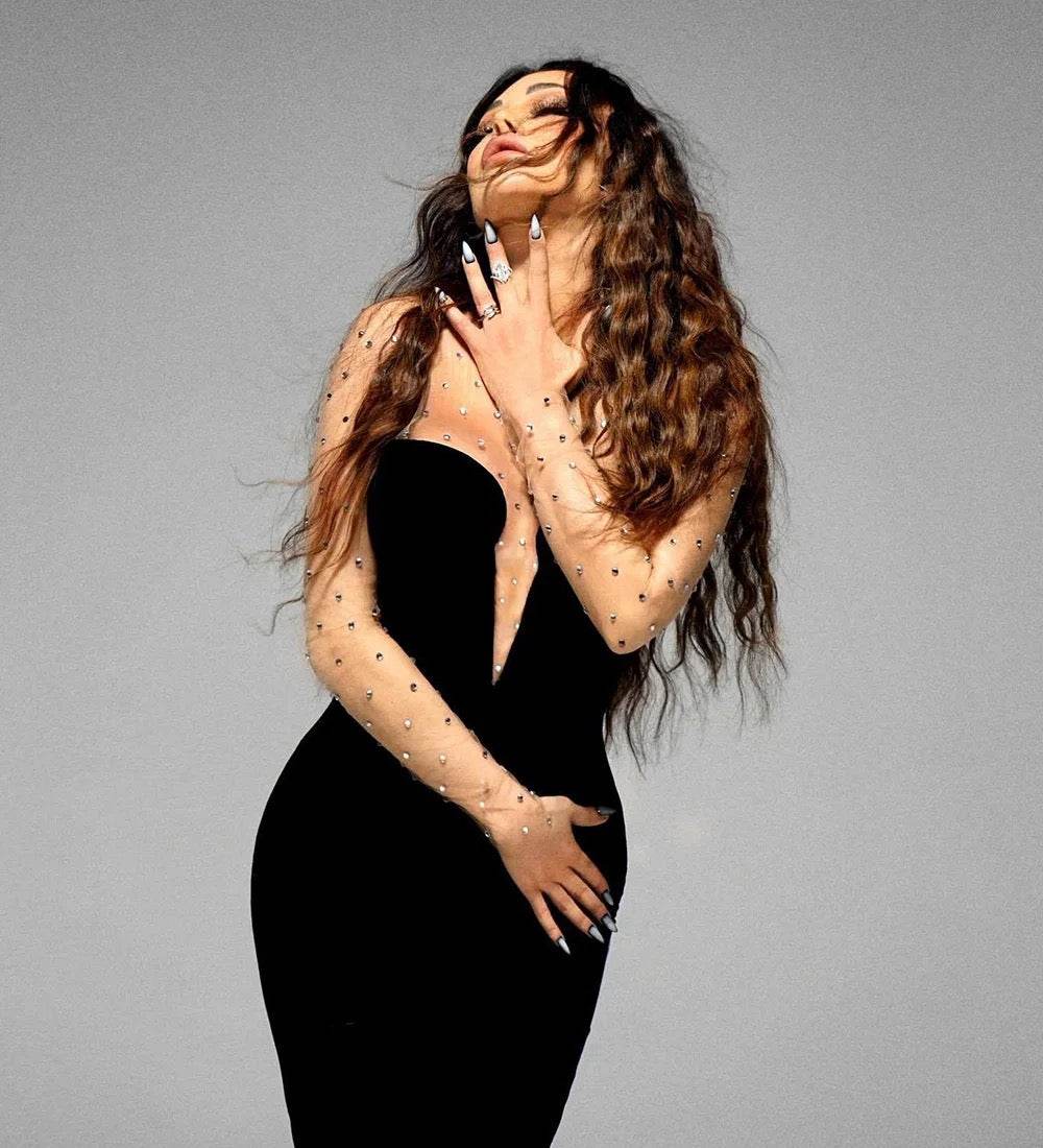 Mesh Long sleeved Patch Black Velvet dress - REBECATHELABEL