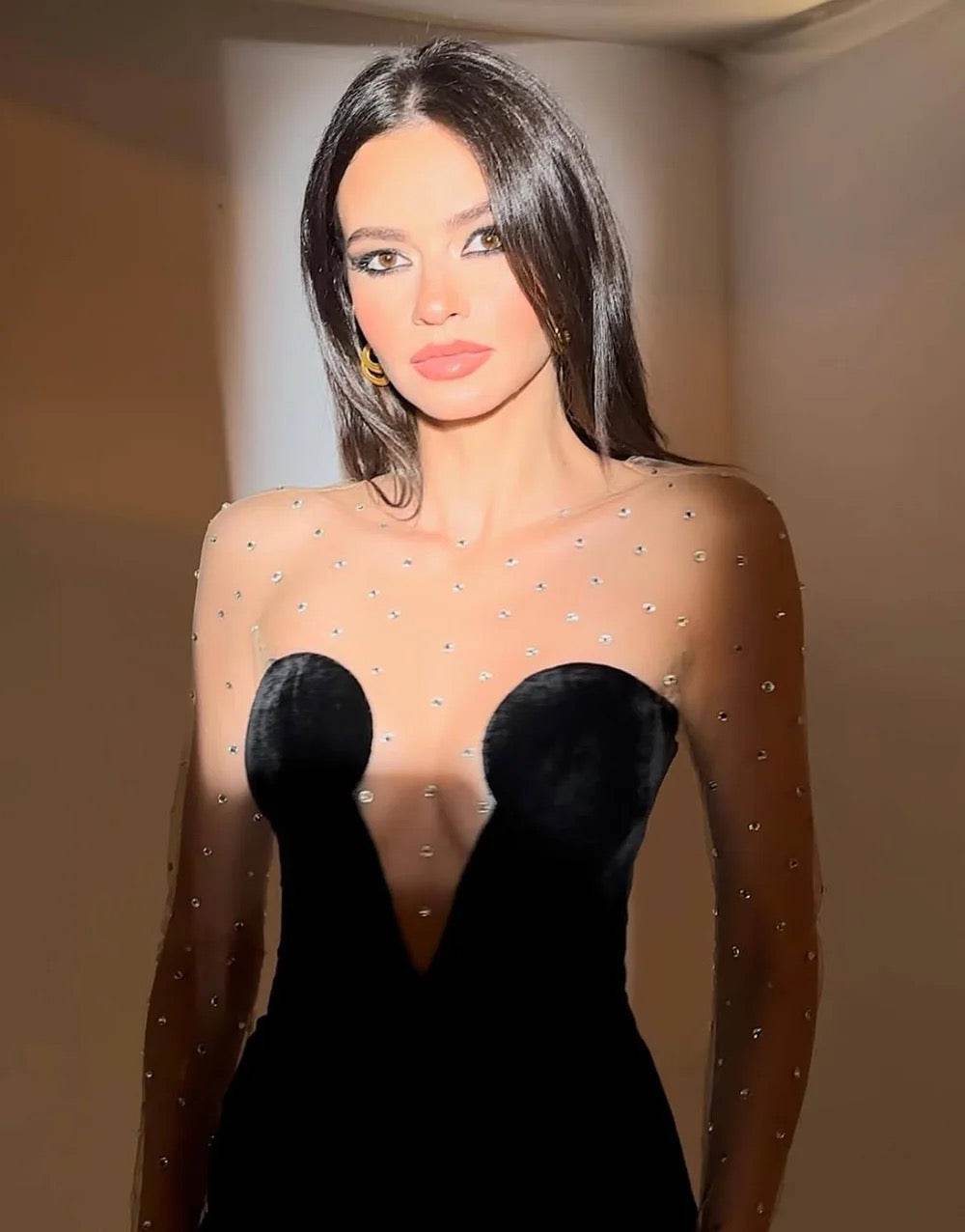 Mesh Long sleeved Patch Black Velvet dress - REBECATHELABEL