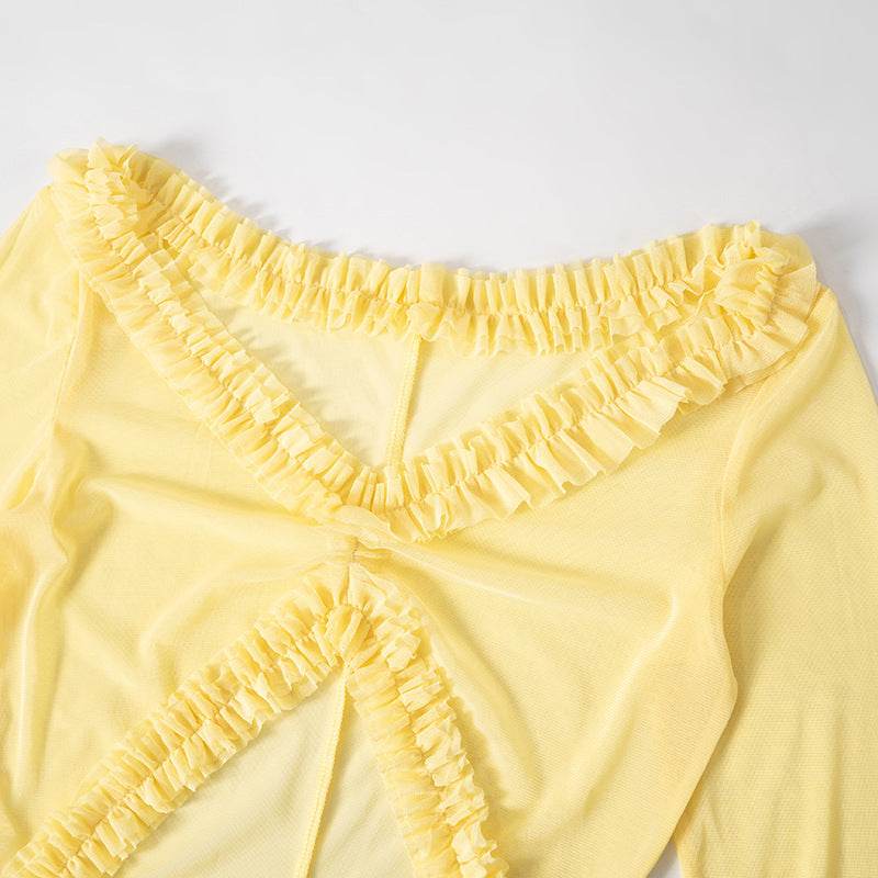 Solid Color Long Sleeve See Through Low Cut Sexy Dress - REBECATHELABEL