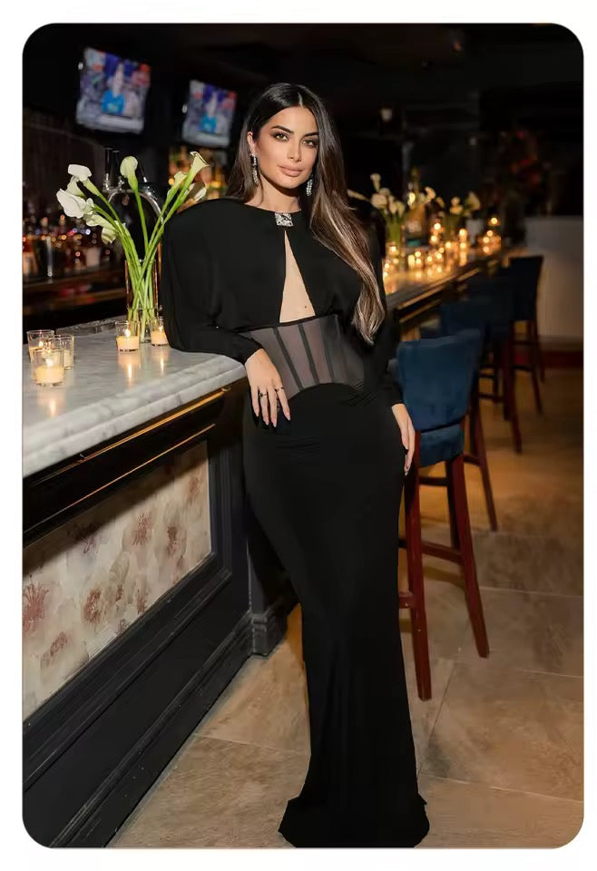 Mesh Corset Waist Long Sleeve Slim Fit Party dress