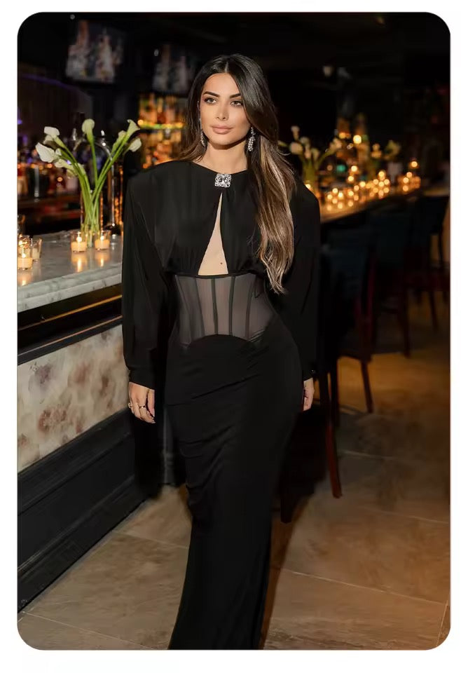 Mesh Corset Waist Long Sleeve Slim Fit Party dress