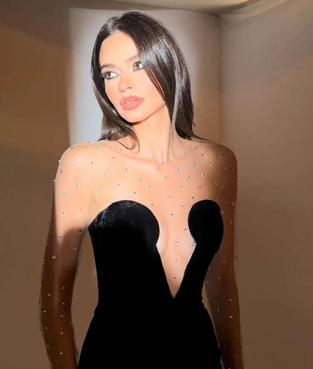 Mesh Long sleeved Patch Black Velvet dress - REBECATHELABEL