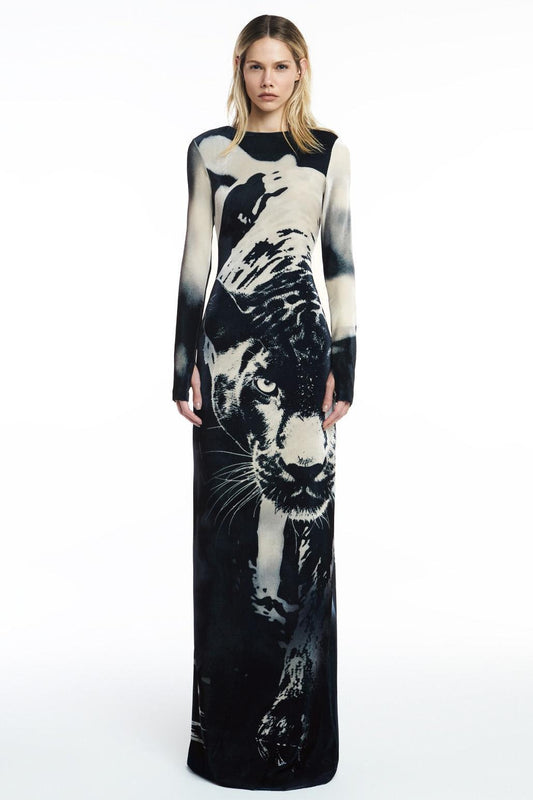 Animal Print Round Neck Long Sleeve Maxi Dress