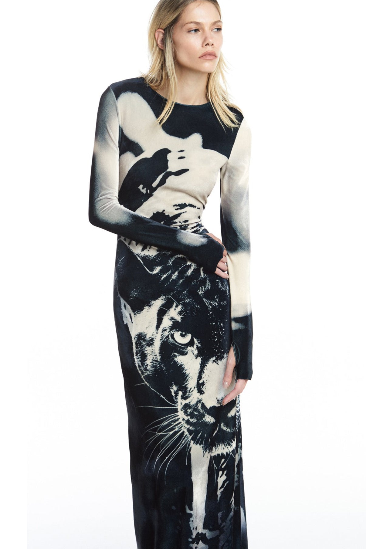 Animal Print Round Neck Long Sleeve Maxi Dress