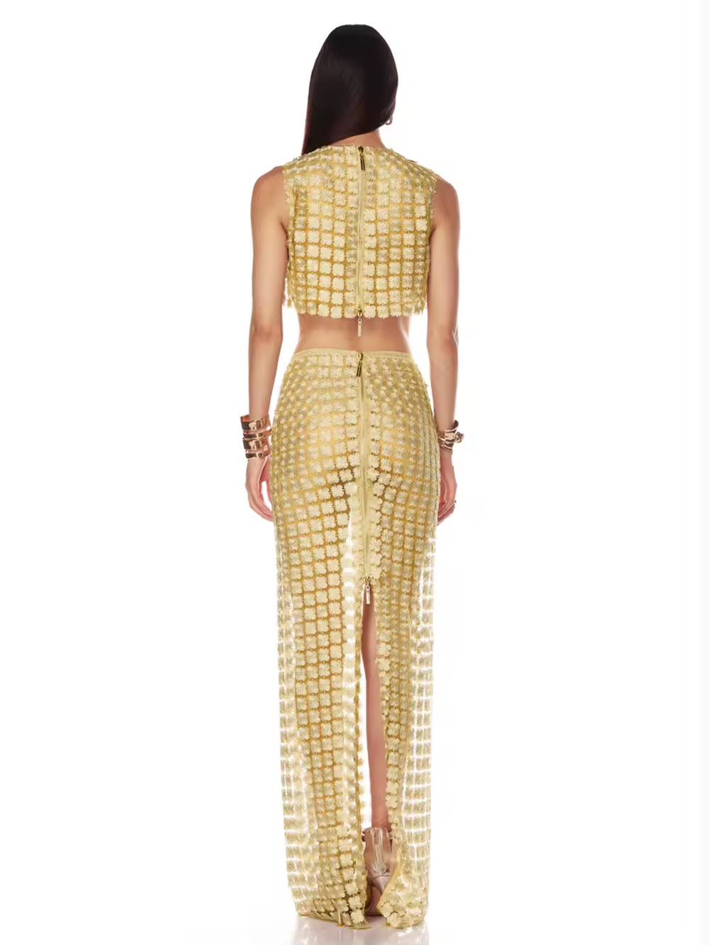 Gold Embroidery Mesh See Through Top + Skirt Set
