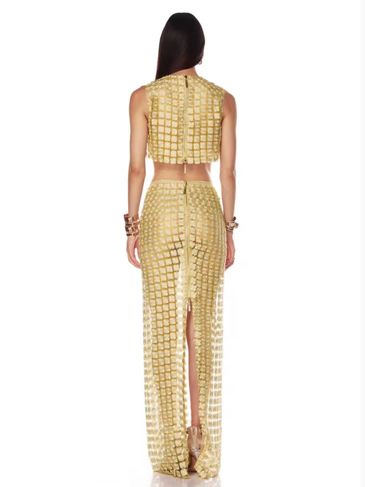 Gold Embroidery Mesh See Through Top + Skirt Set