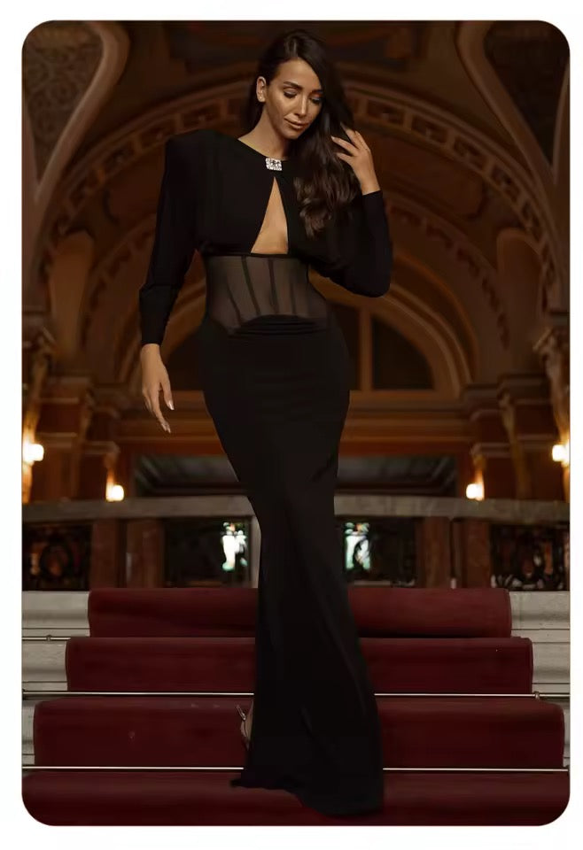 Mesh Corset Waist Long Sleeve Slim Fit Party dress