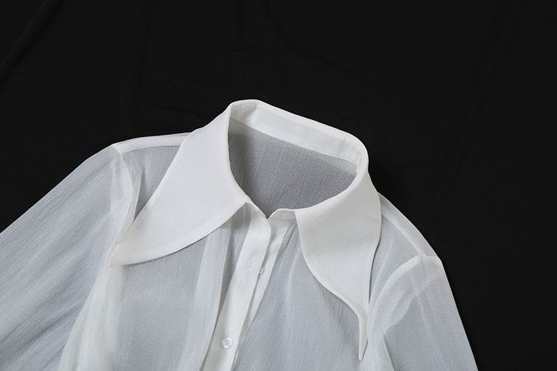 Polo Collar V Neck Flared Sleeves Voile Slim Fit Dress - REBECATHELABEL