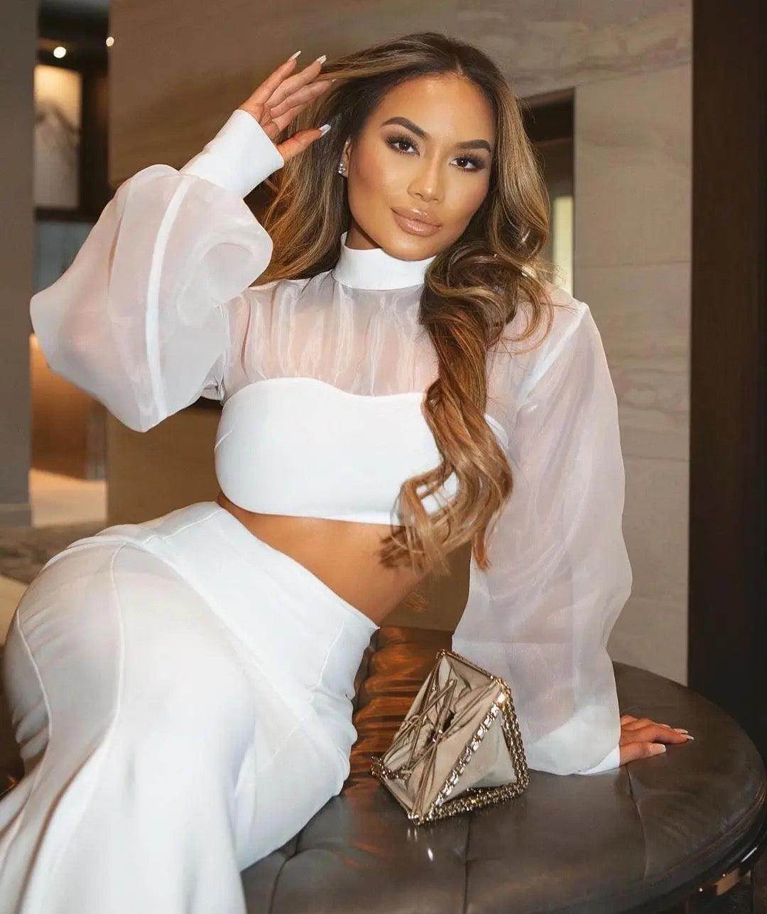 Round Neck Mesh Short Top Fishtail Skirt Suit - REBECATHELABEL