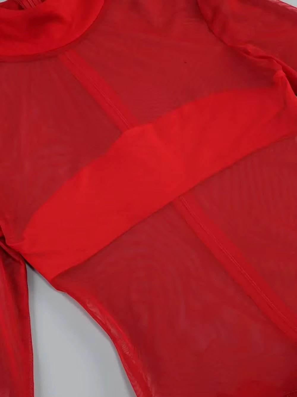 Mesh See Through Bodycon Mini Dress - REBECATHELABEL