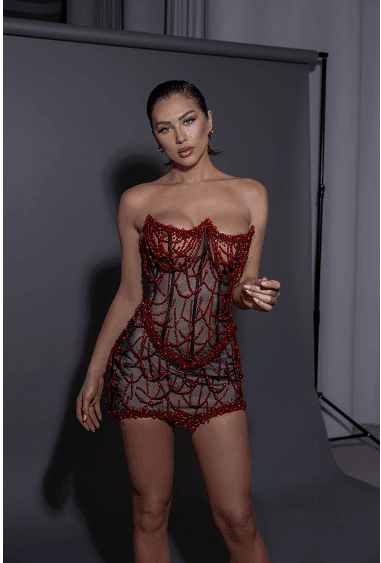 Milan mini dress - REBECATHELABEL