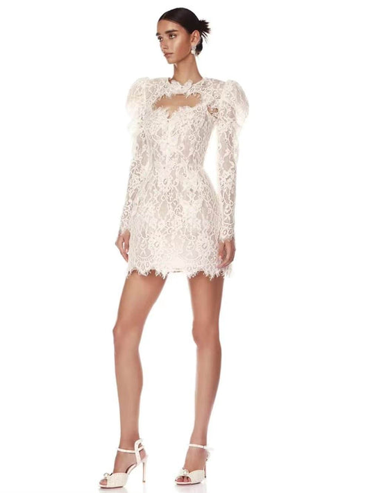 Transparent Lace Floral Tight Mini Dress - REBECATHELABEL