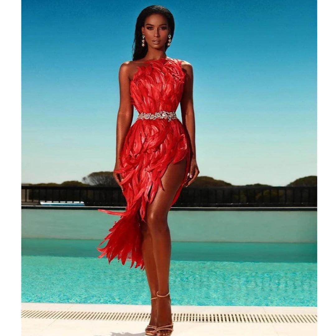 Effortless Feather dress - REBECATHELABEL